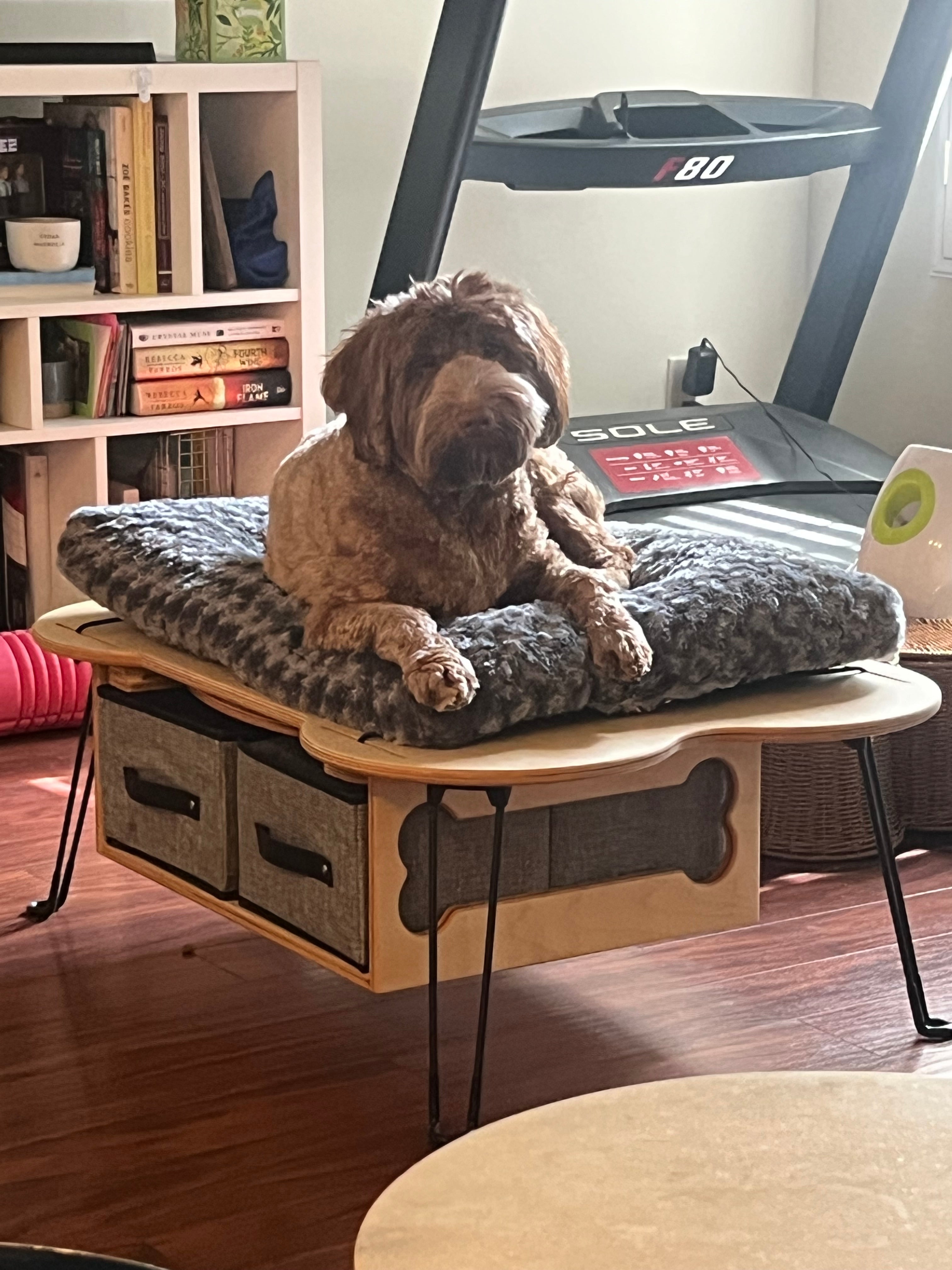 Modular Raised Dog Bed Platform